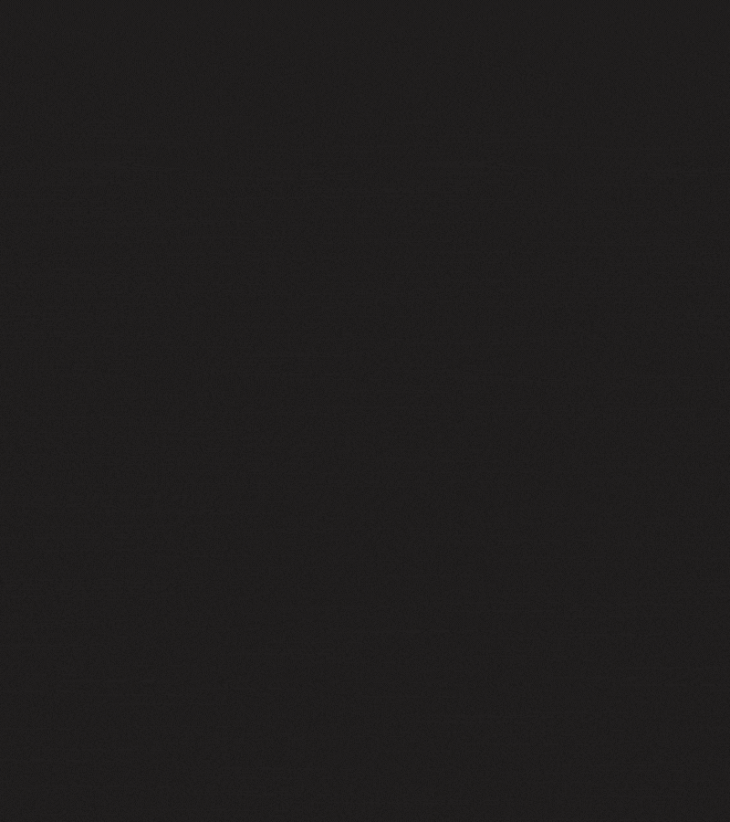 software development